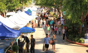 Farmer's Market on State