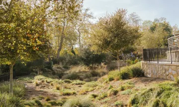 Photo of Ridley Tree Center with storm water management approved landscaping